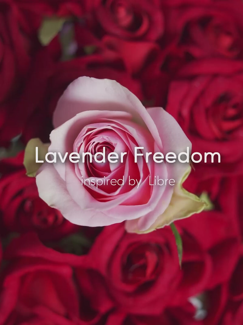 Lavender Freedom